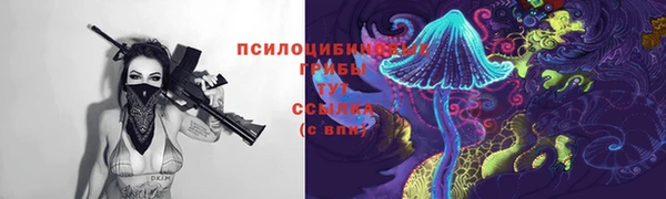 сатива Алексин
