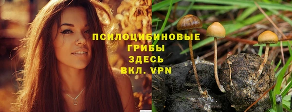 твердый Надым