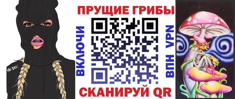 Галлюциногенные грибы Magic Shrooms  Жирновск 